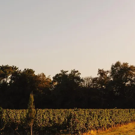 Castle Near Saint Emilion With Services Included *